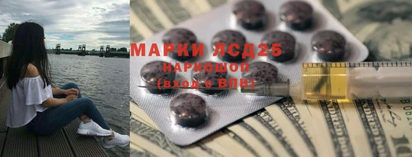 spice Горняк