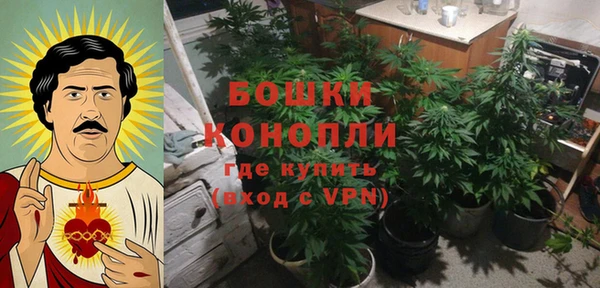 молекула духа Горнозаводск
