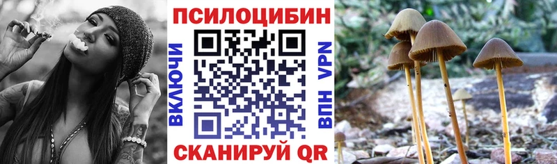 магазин  наркотиков  Гусиноозёрск  Галлюциногенные грибы прущие грибы 